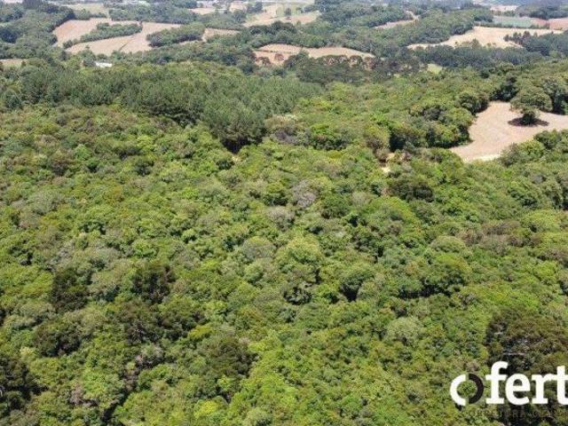 Sítio e chácara venda em Região Geográfica Imediata de Curitiba, Região Metropolitana de Curitiba