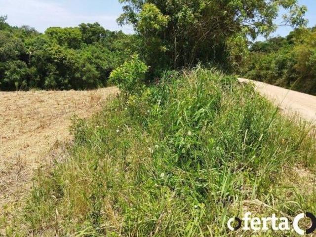 Sítio e chácara venda em Região Geográfica Imediata de Curitiba, Região Metropolitana de Curitiba