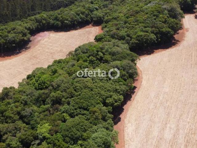 Sítio e chácara venda em Região Geográfica Imediata de Curitiba, Região Metropolitana de Curitiba