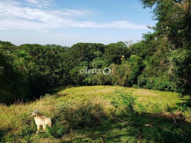 Sítio e chácara venda em Região Geográfica Imediata de Curitiba, Região Metropolitana de Curitiba