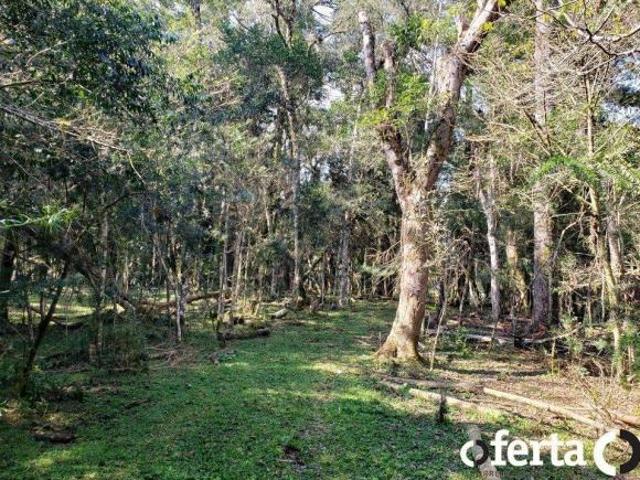 Sítio e chácara venda em Região Geográfica Imediata de Curitiba, Região Metropolitana de Curitiba