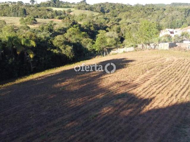 Sitio venda em Araucaria