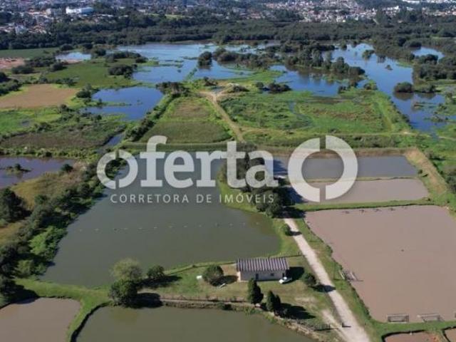 Sítio e chácara venda em Palmital, Região Geográfica Intermediária de Guarapuava