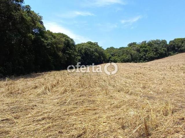 Sítio e chácara venda em Região Geográfica Imediata de Curitiba, Região Metropolitana de Curitiba