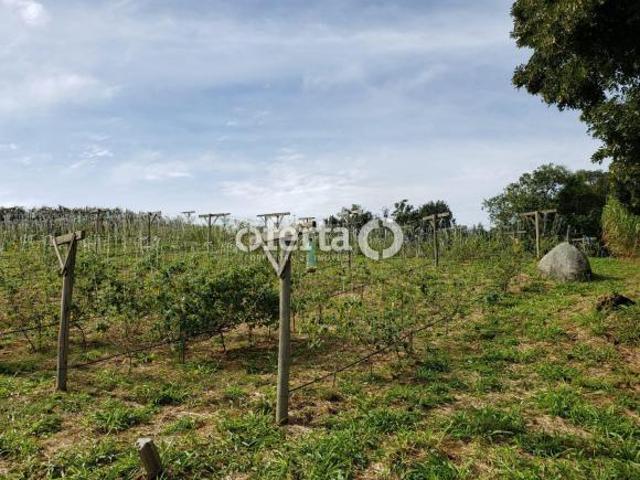 Sítio e chácara venda em Região Geográfica Imediata de Curitiba, Região Metropolitana de Curitiba