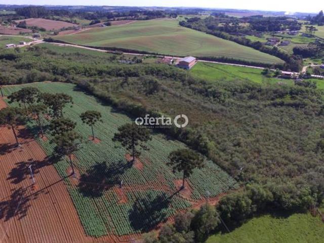 Sitio venda em Araucaria, Guajuvira (de Cima)