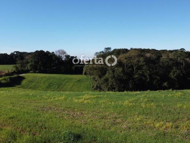 Sítio e chácara venda em Guajuvira (de Cima), Araucária