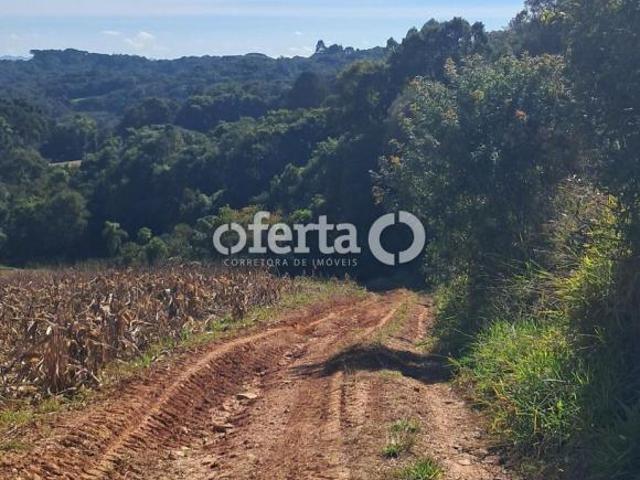 Sítio e chácara venda em Colônia Cristina, Araucária