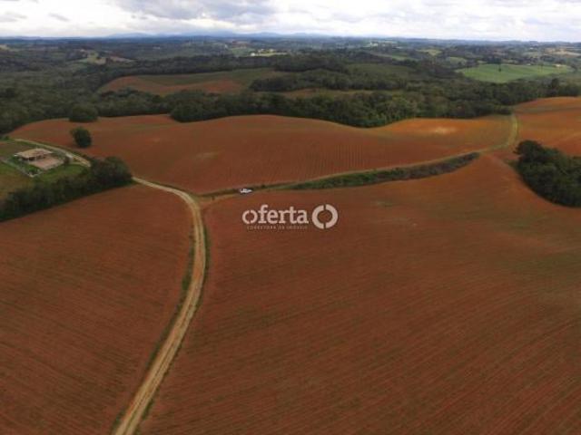 Sitio venda em Araucaria