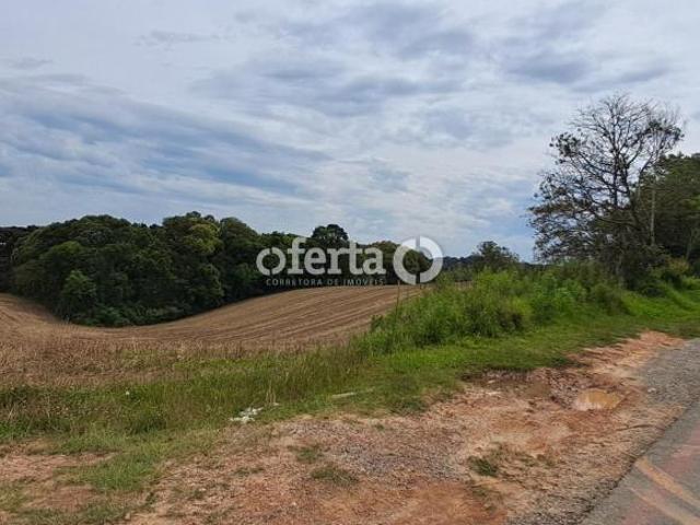 Terreno venda em Guajuvira, Araucária