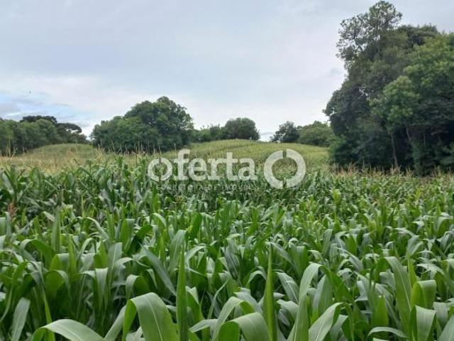 Sítio e chácara venda em Região Geográfica Imediata de Curitiba, Região Metropolitana de Curitiba