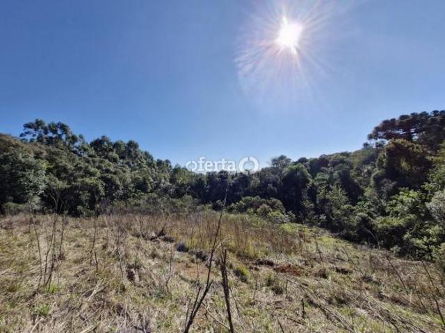Sítio e chácara venda em Região Geográfica Imediata de Curitiba, Região Metropolitana de Curitiba
