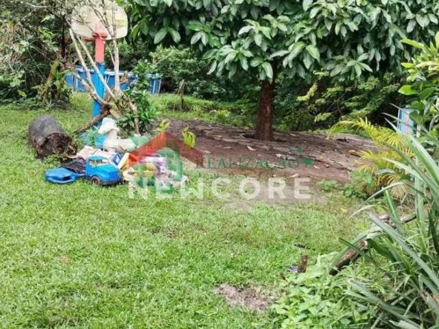 Sítio e chácara venda em Região Imediata de Santos, Região Metropolitana da Baixada Santista