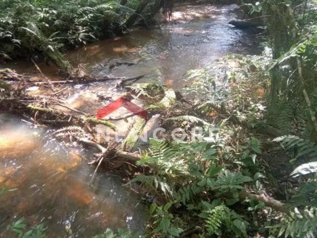 Sítio e chácara venda em Região Geográfica Imediata de Curitiba, Região Metropolitana de Curitiba