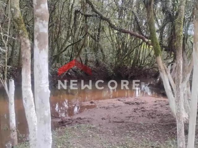 Sítio e chácara venda em Rio de Una, São José dos Pinhais