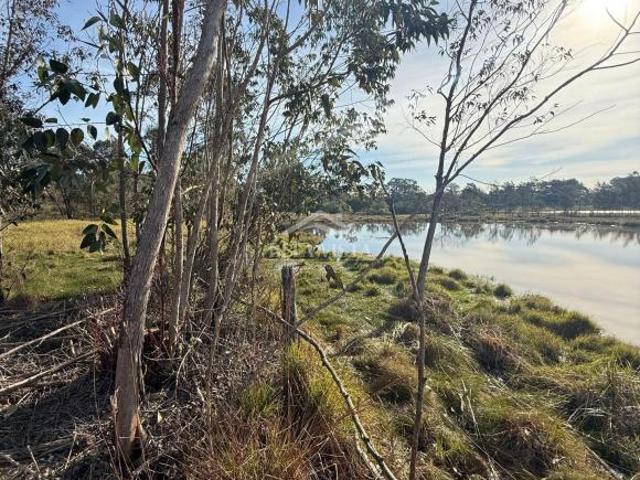 Sítio e chácara venda em Região Geográfica Imediata de Montenegro, Região Metropolitana de Porto Alegre