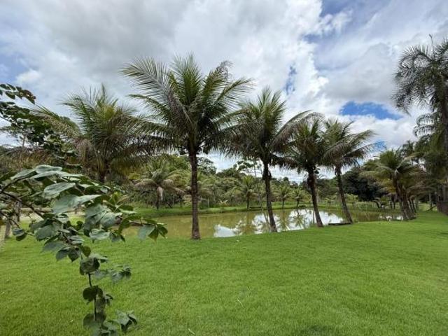 Sítio e chácara venda em Goianira, Região Geográfica Intermediária de Goiânia