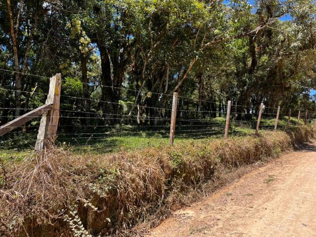 Sítio e chácara venda em Região Geográfica Imediata de Curitiba, Região Metropolitana de Curitiba
