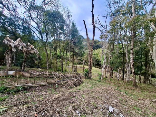 Sítio e chácara venda em Região Geográfica Imediata de Curitiba, Região Metropolitana de Curitiba