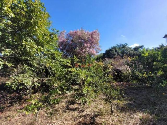 Sítio e chácara venda em Região Geográfica Imediata de Caxias do Sul, Alto Feliz