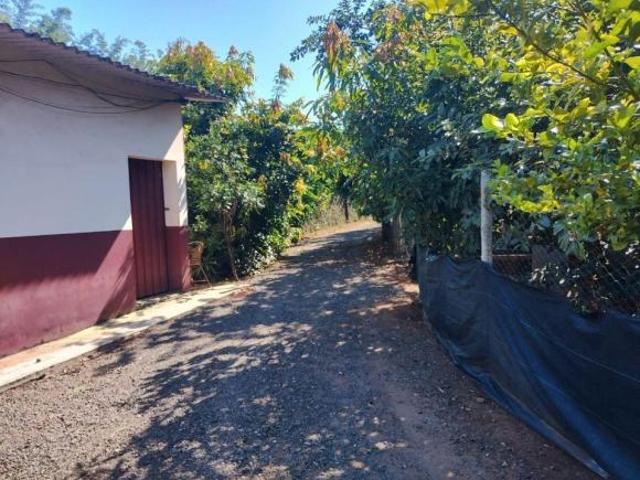 Sítio e chácara venda em Região Imediata de Campinas, Região Metropolitana de Campinas