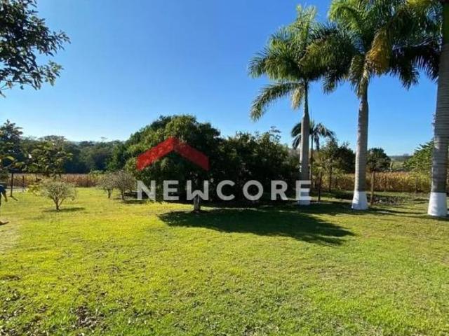 Sítio e chácara venda em Região Geográfica Imediata de Londrina, Assaí