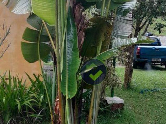 Sítio e chácara venda em Região Imediata de São Paulo, Região Metropolitana de São Paulo
