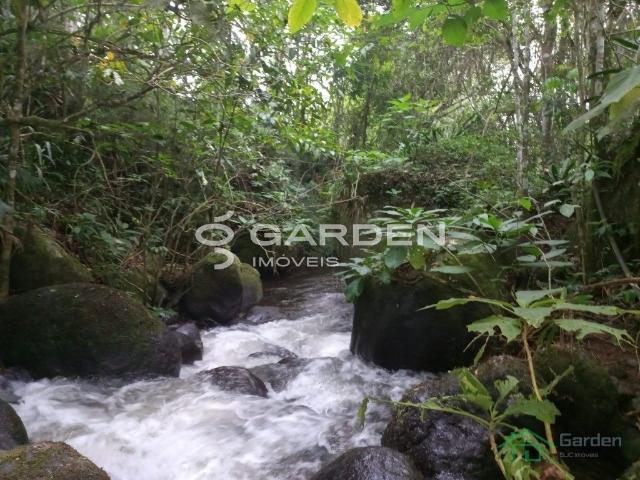 Sítio e chácara venda em Monteiro Lobato, Região Geográfica Intermediária de São José dos Campos