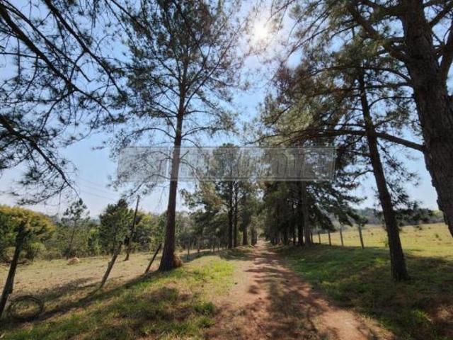 Sítio e chácara venda em Região Imediata de Sorocaba, Região Metropolitana de Sorocaba