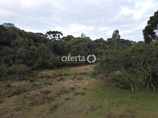 Sítio e chácara venda em Região Geográfica Imediata de Campo Mourão, Luiziana