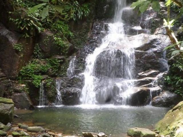Sítio e chácara venda em Região Imediata de Santos, Região Metropolitana da Baixada Santista