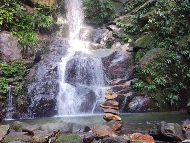 Sítio e chácara venda em Caiubura, Bertioga