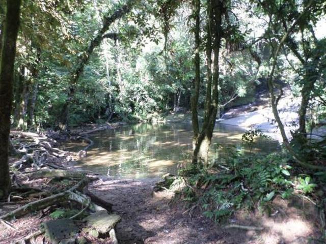 Sítio e chácara venda em Região Imediata de Santos, Região Metropolitana da Baixada Santista