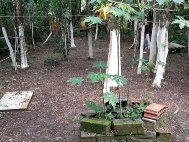 Sítio e chácara venda em Região Imediata de Santos, Região Metropolitana da Baixada Santista