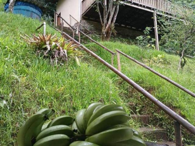 Sítio e chácara venda em Região Imediata de Santos, Região Metropolitana da Baixada Santista