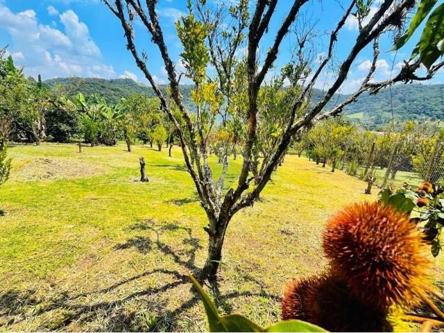 Sítio e chácara venda em Região Imediata de São Paulo, Região Metropolitana de São Paulo