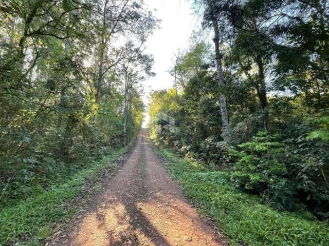 Sítio e chácara venda em Região Geográfica Imediata de Santa Cruz do Sul, Santa Cruz do Sul