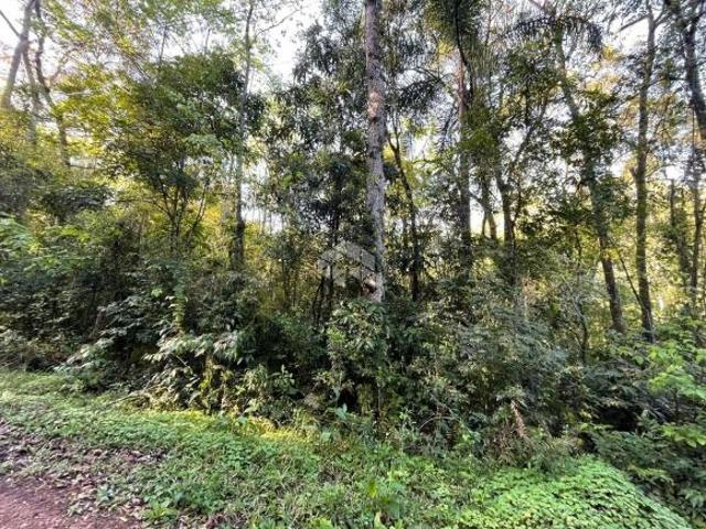 Sítio e chácara venda em Região Geográfica Imediata de Santa Cruz do Sul, Santa Cruz do Sul