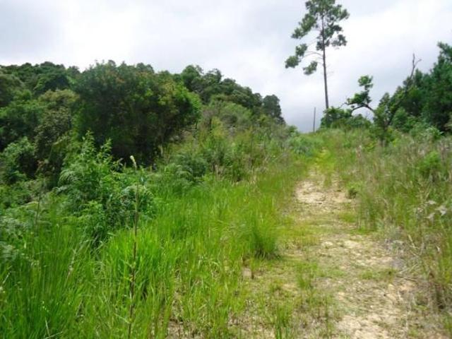 Sítio e chácara venda em Bocaiúva do Sul, Região Geográfica Intermediária de Curitiba