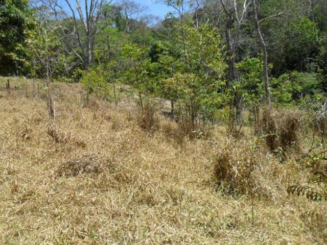 Sítio e chácara venda em Região Geográfica Imediata de Itabira, Bom Jesus do Amparo