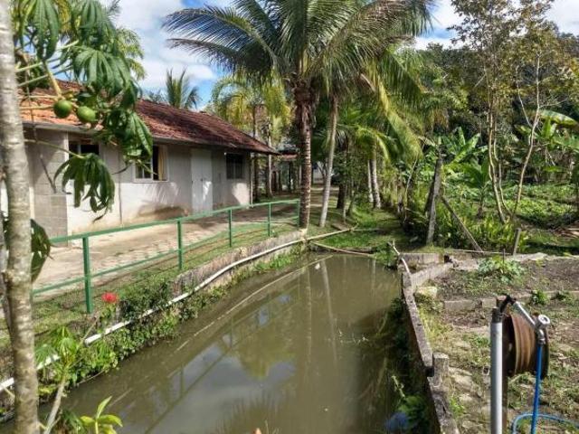 Sítio e chácara venda em Região Imediata de Taubaté-Pindamonhangaba, Região Metropolitana do Vale do Paraíba e Litoral Norte
