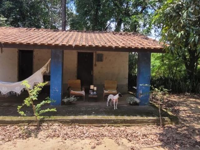 Sítio e chácara venda em Bonfim, Paulínia