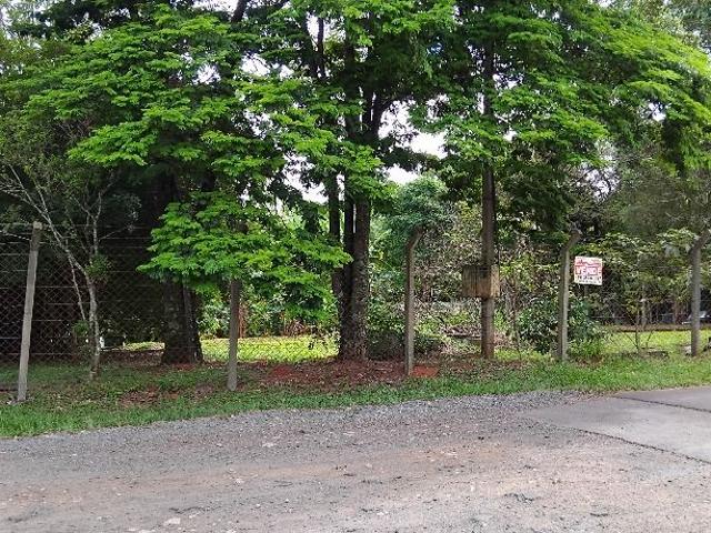 Sítio e chácara venda em Bonfim, Paulínia