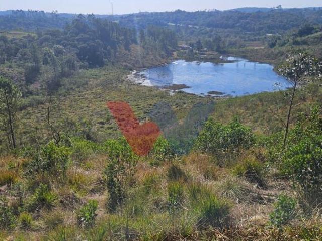 Sítio e chácara venda em Região Geográfica Imediata de Curitiba, Região Metropolitana de Curitiba