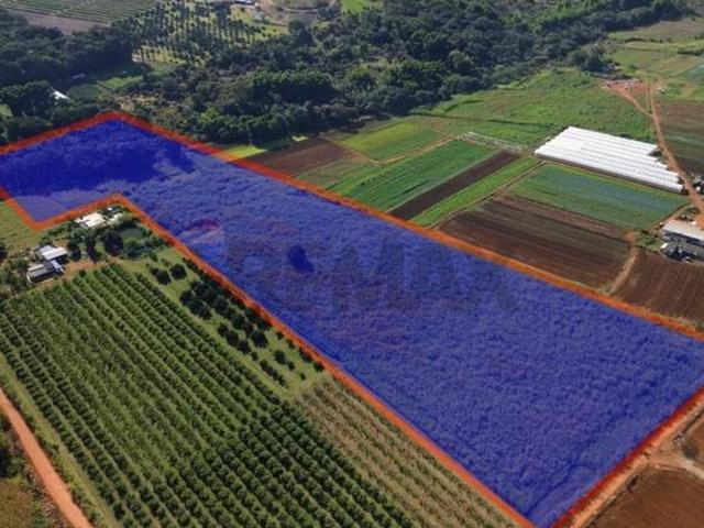 Sítio e chácara venda em Região Geográfica Imediata do Distrito Federal, Região Integrada de Desenvolvimento do Distrito Federal e Entorno