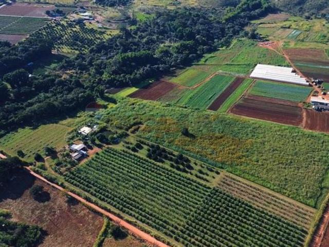 Sítio e chácara venda em Região Geográfica Imediata do Distrito Federal, Região Integrada de Desenvolvimento do Distrito Federal e Entorno
