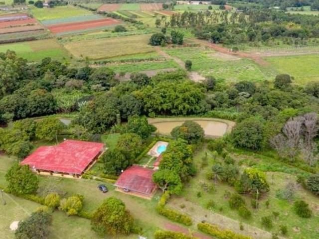 Sítio e chácara venda em Região Geográfica Imediata do Distrito Federal, Região Integrada de Desenvolvimento do Distrito Federal e Entorno