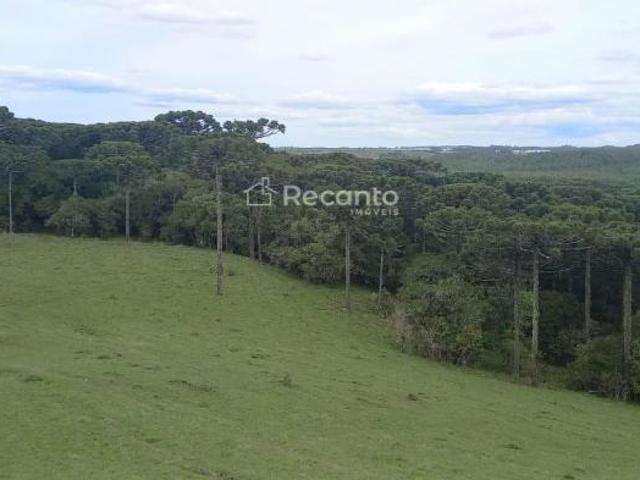 Sítio e chácara venda em Região Geográfica Imediata de Caxias do Sul, São Francisco de Paula