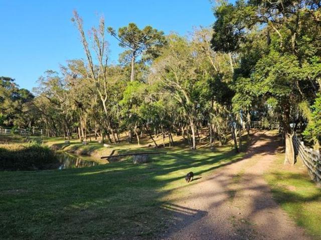 Sítio e chácara venda em Região Geográfica Imediata de Curitiba, Região Metropolitana de Curitiba