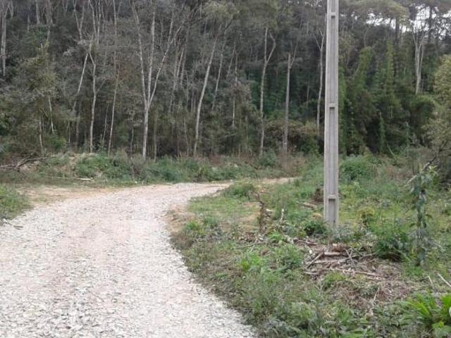 Sítio e chácara venda em Região Geográfica Imediata de Curitiba, Região Metropolitana de Curitiba